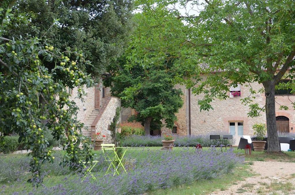 Agriturismo La Segolina كولّي فال ديلسا المظهر الخارجي الصورة