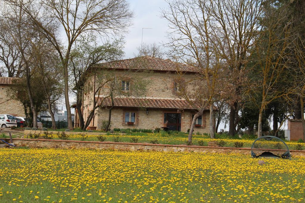 Agriturismo La Segolina كولّي فال ديلسا المظهر الخارجي الصورة