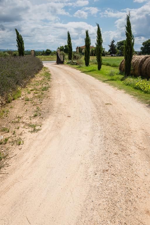 Agriturismo La Segolina كولّي فال ديلسا المظهر الخارجي الصورة