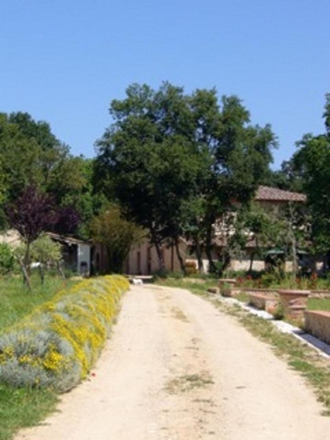Agriturismo La Segolina كولّي فال ديلسا المظهر الخارجي الصورة
